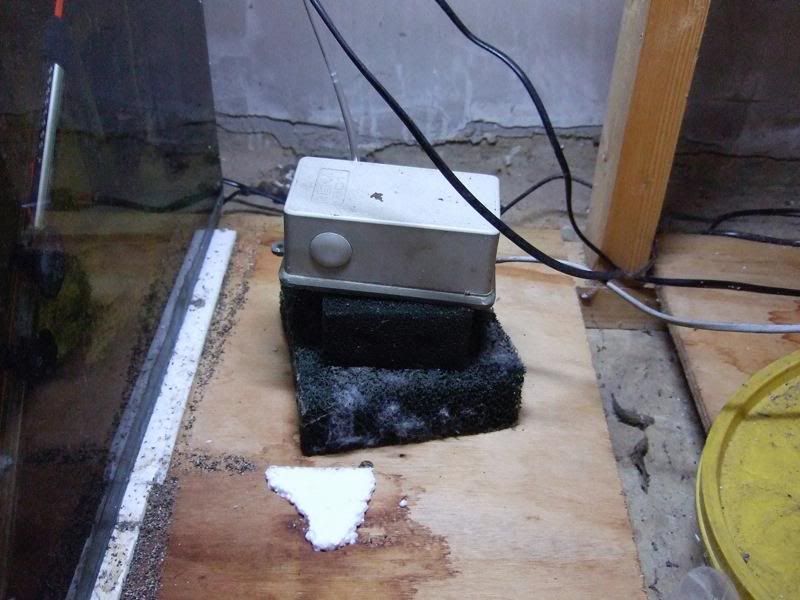 DSCF2608.jpg