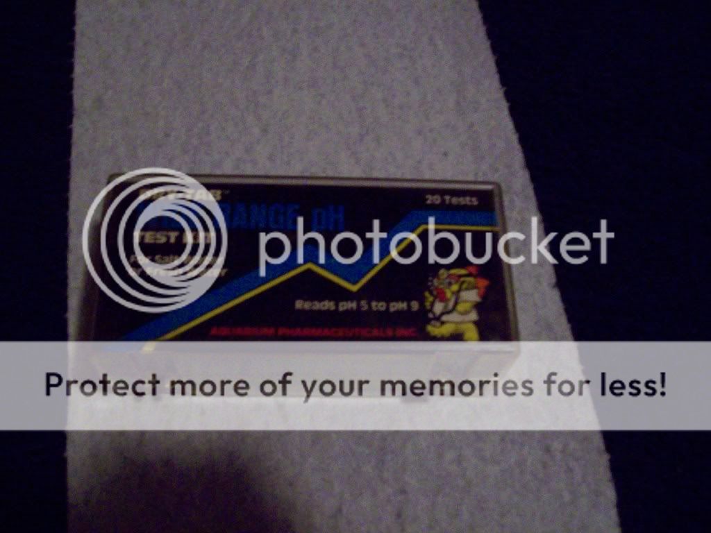 020-9.jpg