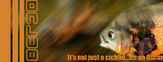 FishSig.png