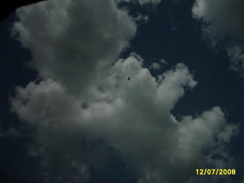 S5004841.jpg