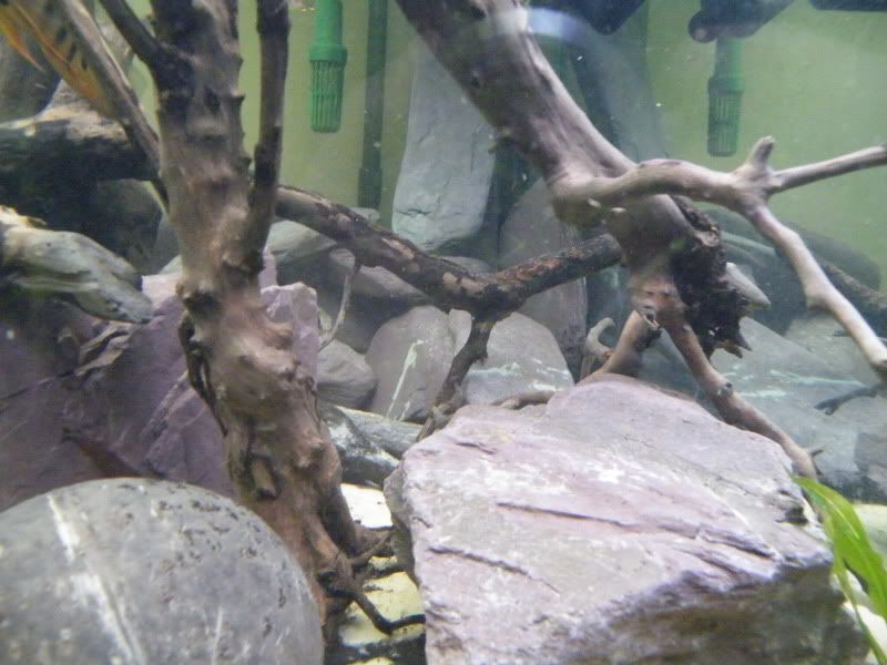 DSCF4482.jpg