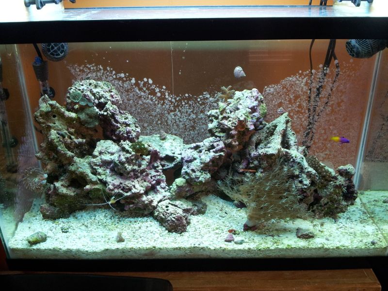 20120418_175838.jpg