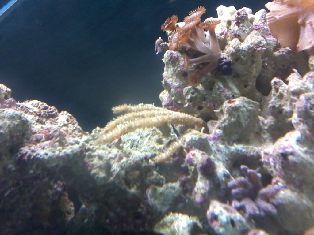 2011-06-07200208.jpg