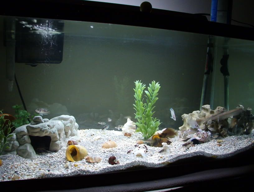 fc35ba22.jpg