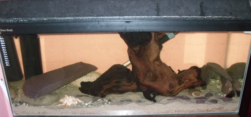 fishtank001.jpg