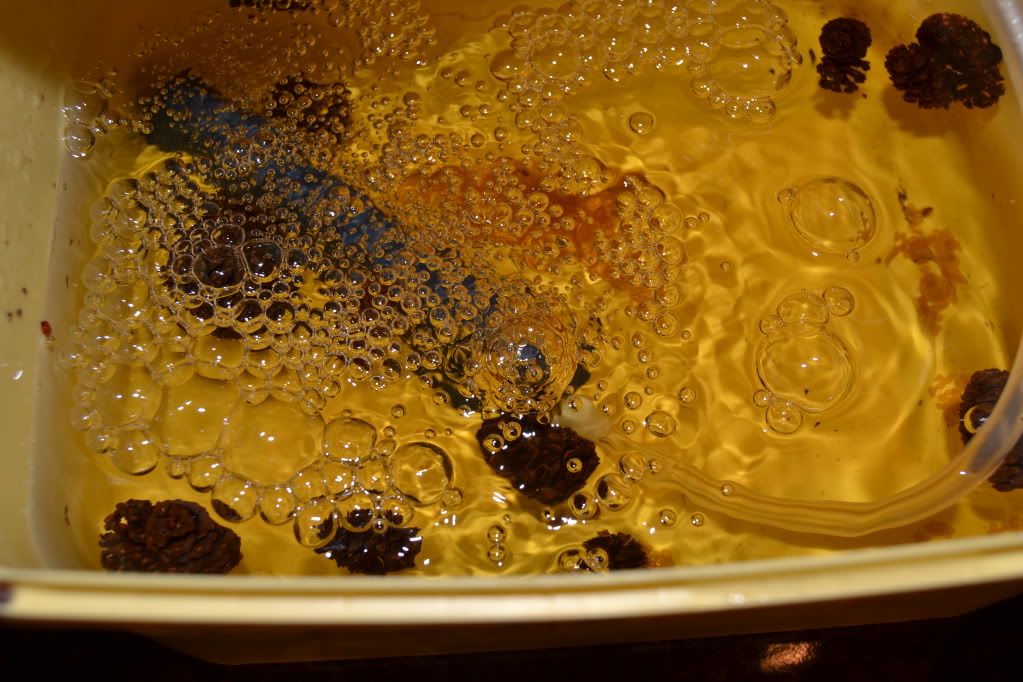 DSC_0786.jpg