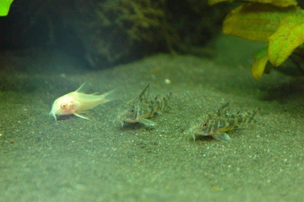 DSC_0164.jpg