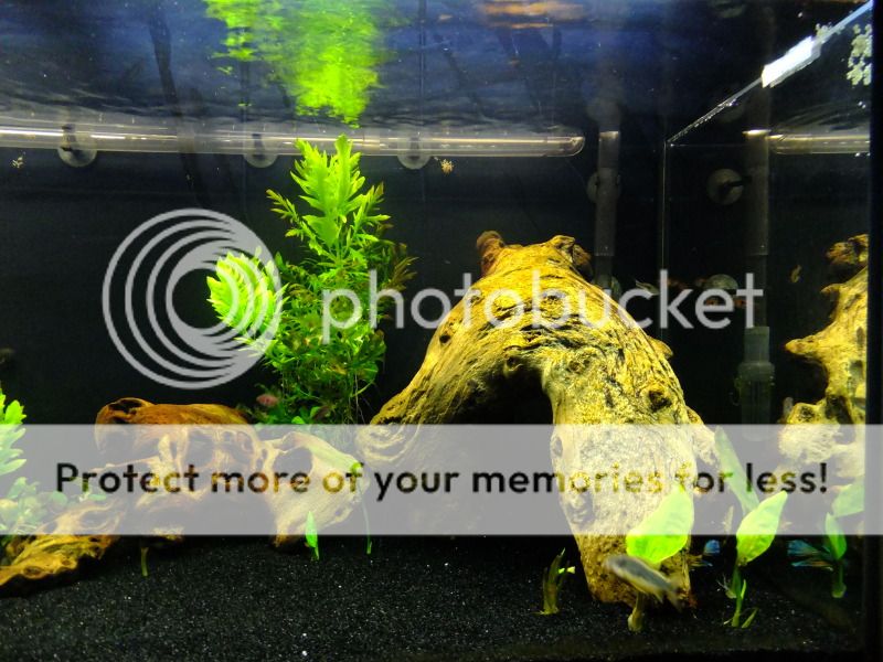 DSCF3294.jpg