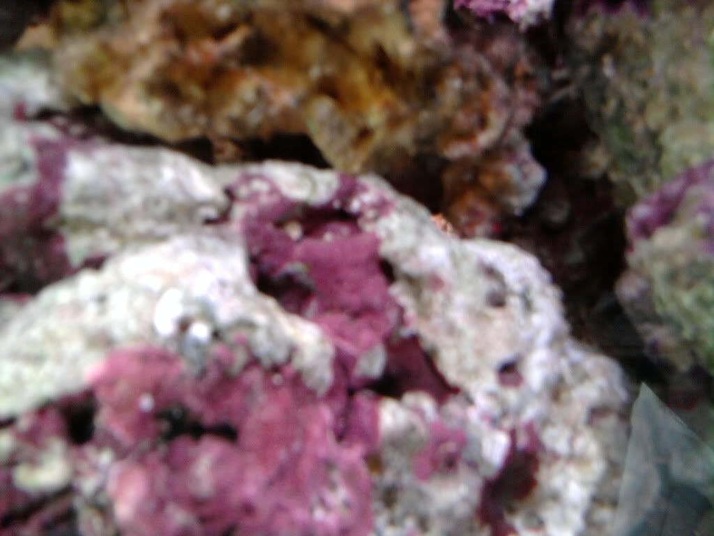 Photo0172.jpg
