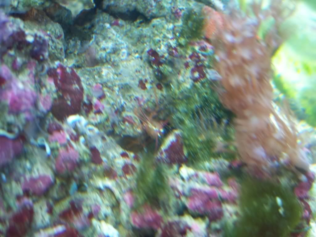 100_1287.jpg