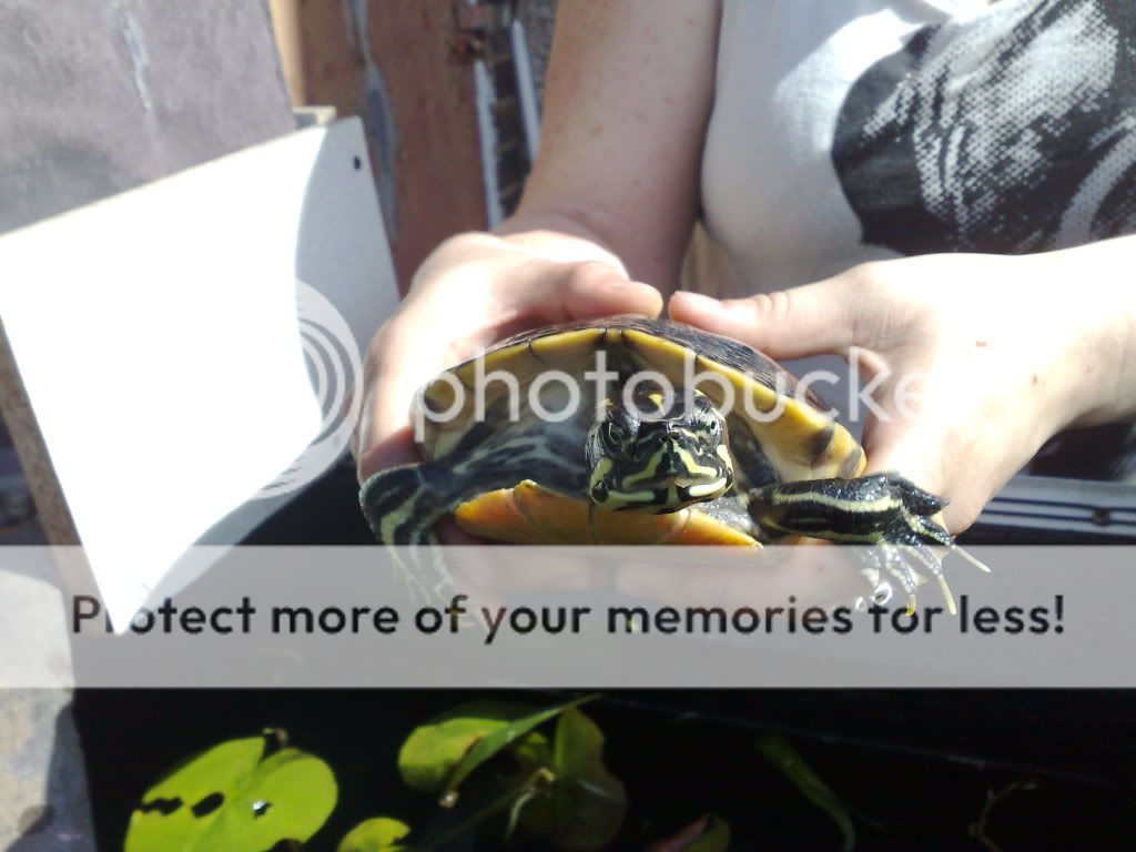 19082009958.jpg
