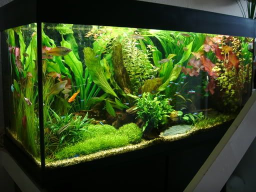 40G12.jpg