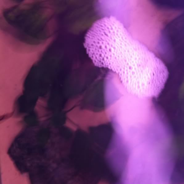 9c83cee3.jpg