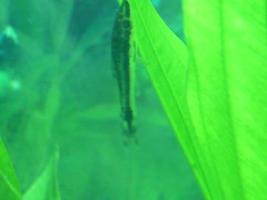3985253684_9f562ed806_m.jpg