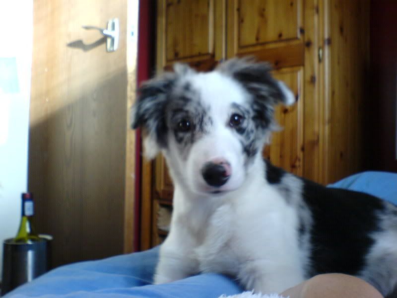 Picture003.jpg