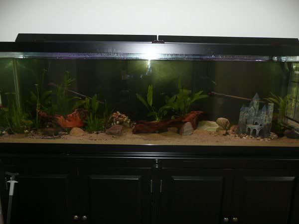 4-19-4.jpg