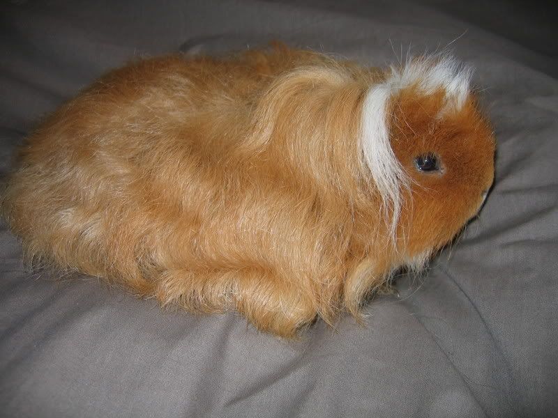 longhaired001.jpg