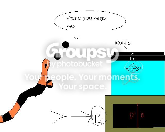 kuhlis.jpg