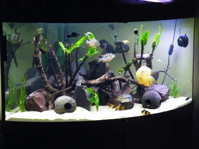 DSCF4503.jpg