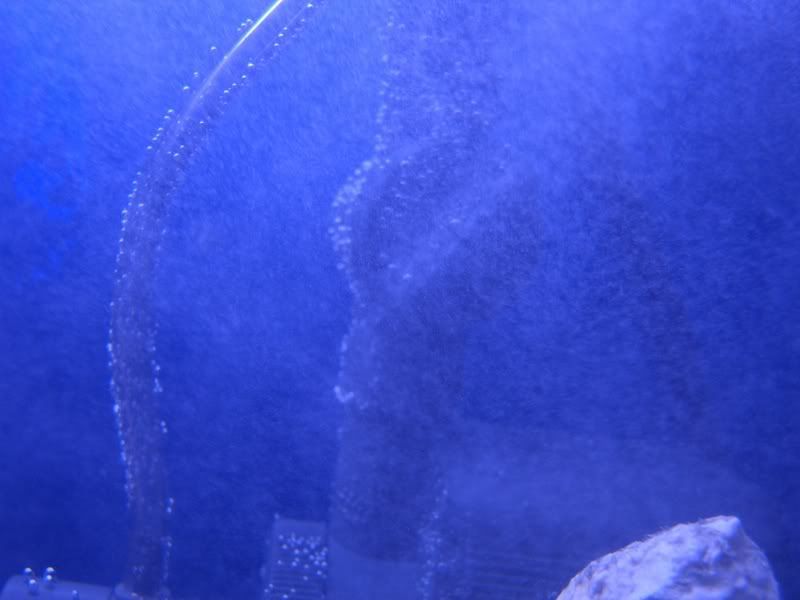 SuperSkimmer002-1.jpg