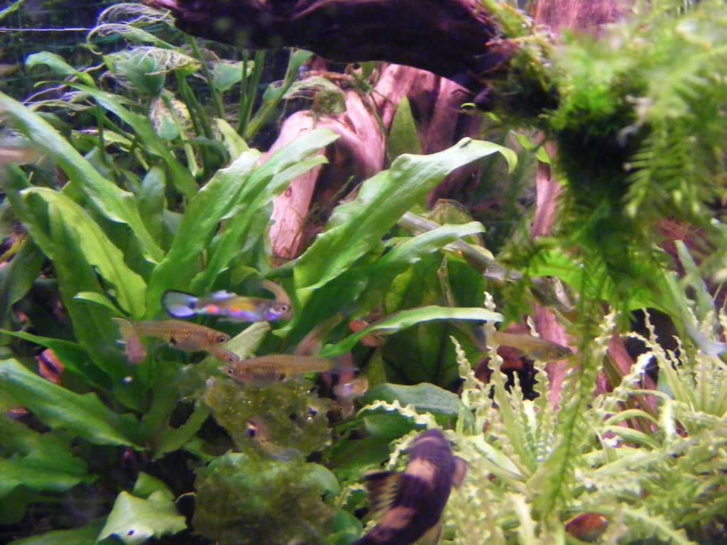 DSCF1020.jpg