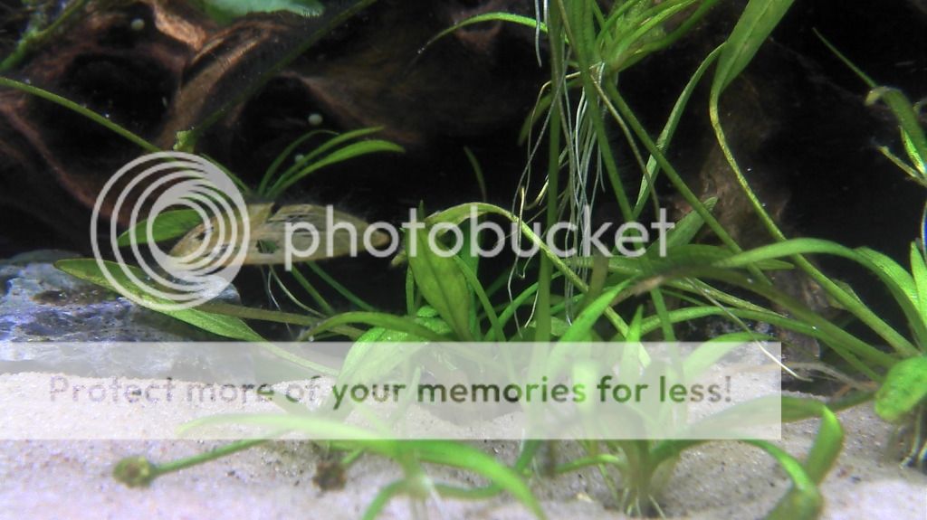 2012-07-10_15-41-14_494.jpg