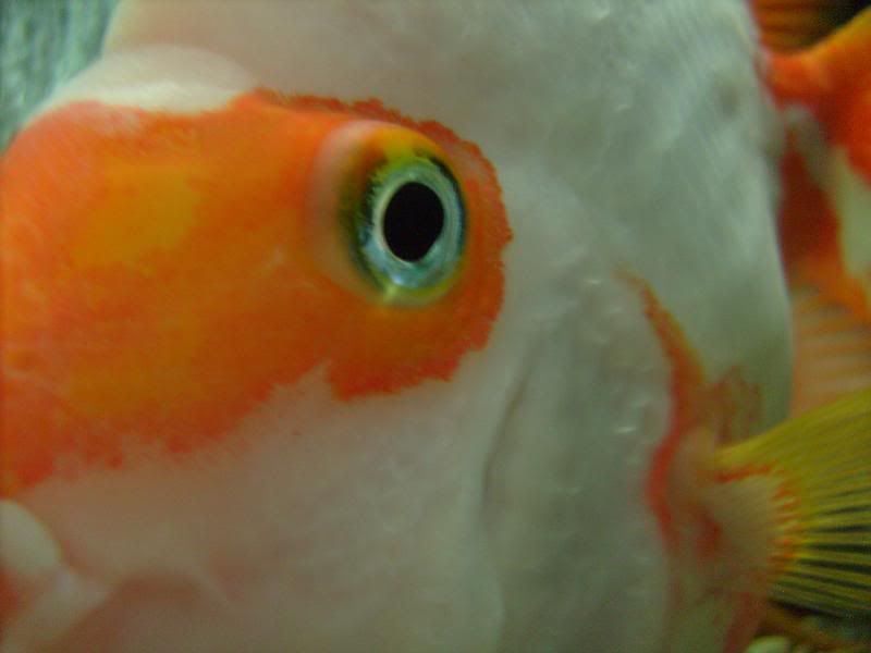 S7301800.jpg