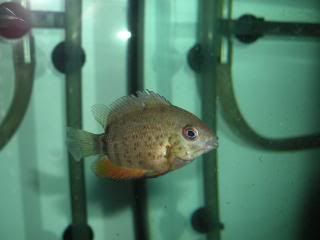 DSCN1572.jpg
