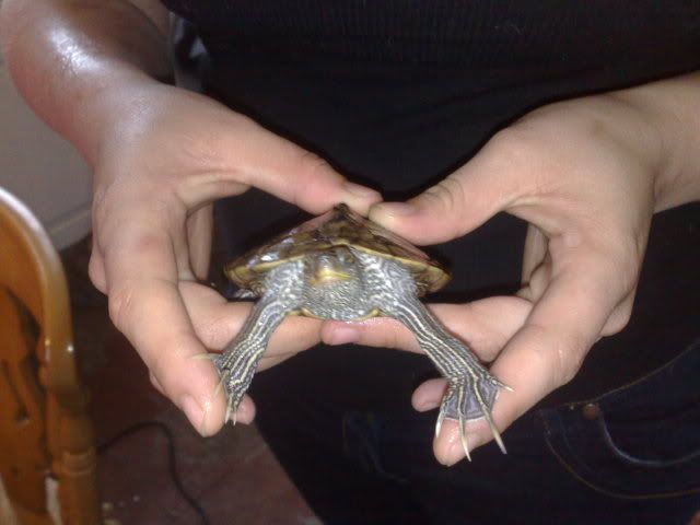 07062009326.jpg