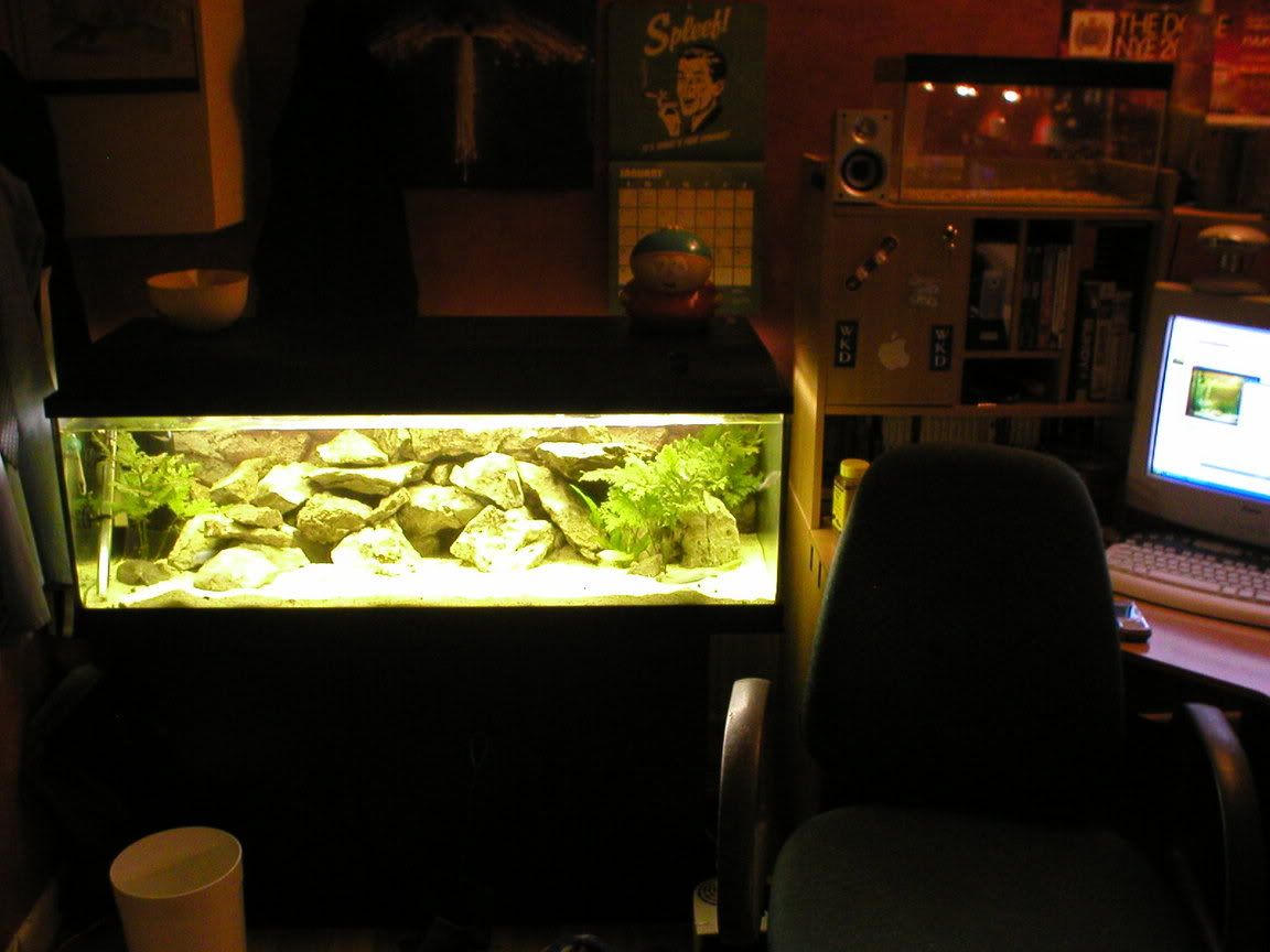 P1010107.jpg