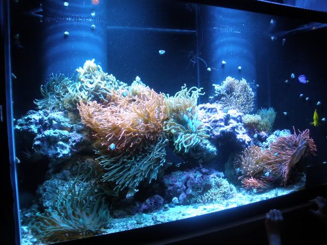 028-1.jpg