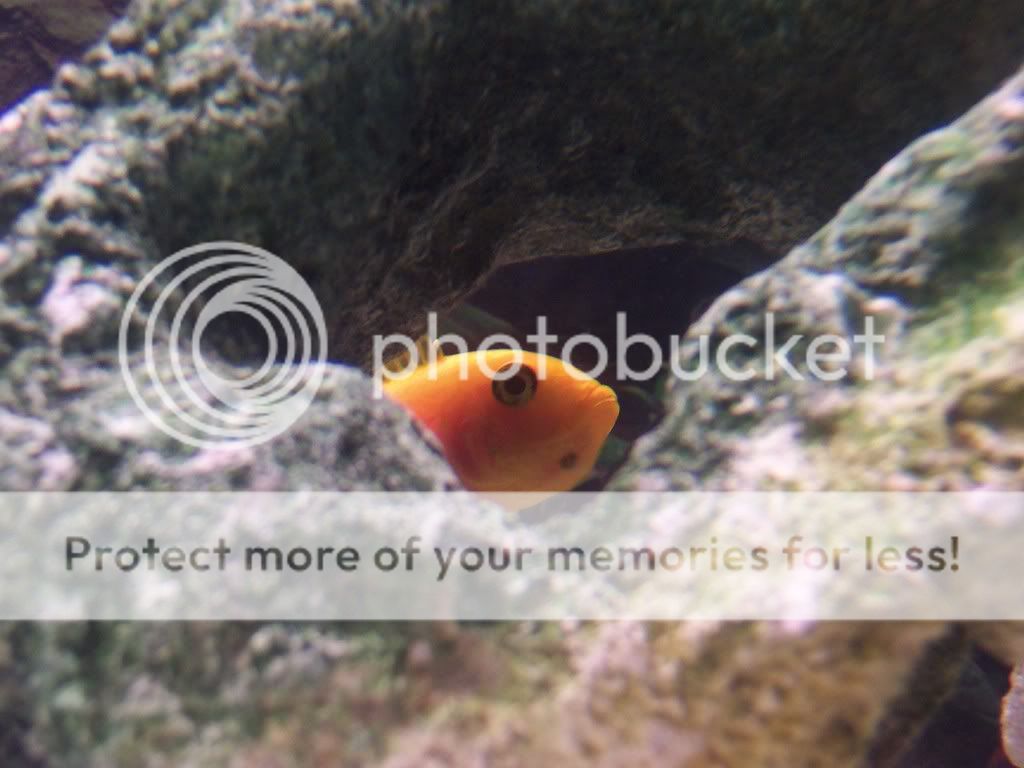 camerafryect024.jpg