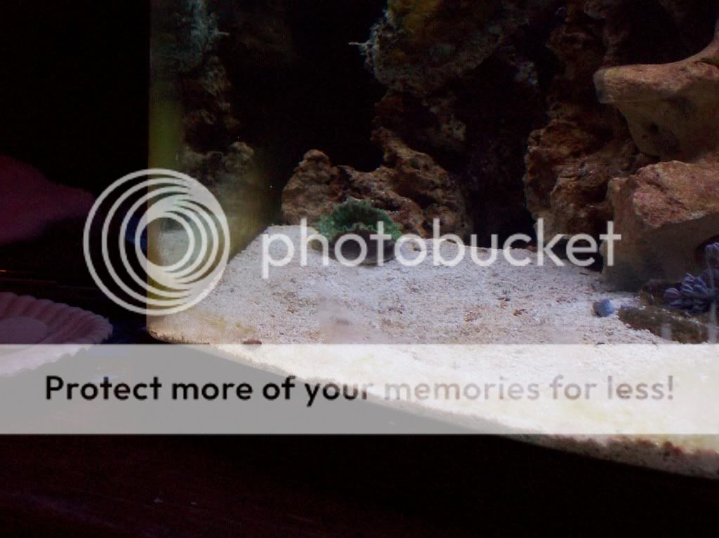 aquarium008.jpg