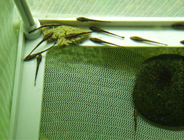 812372431_AWjz6-M.jpg