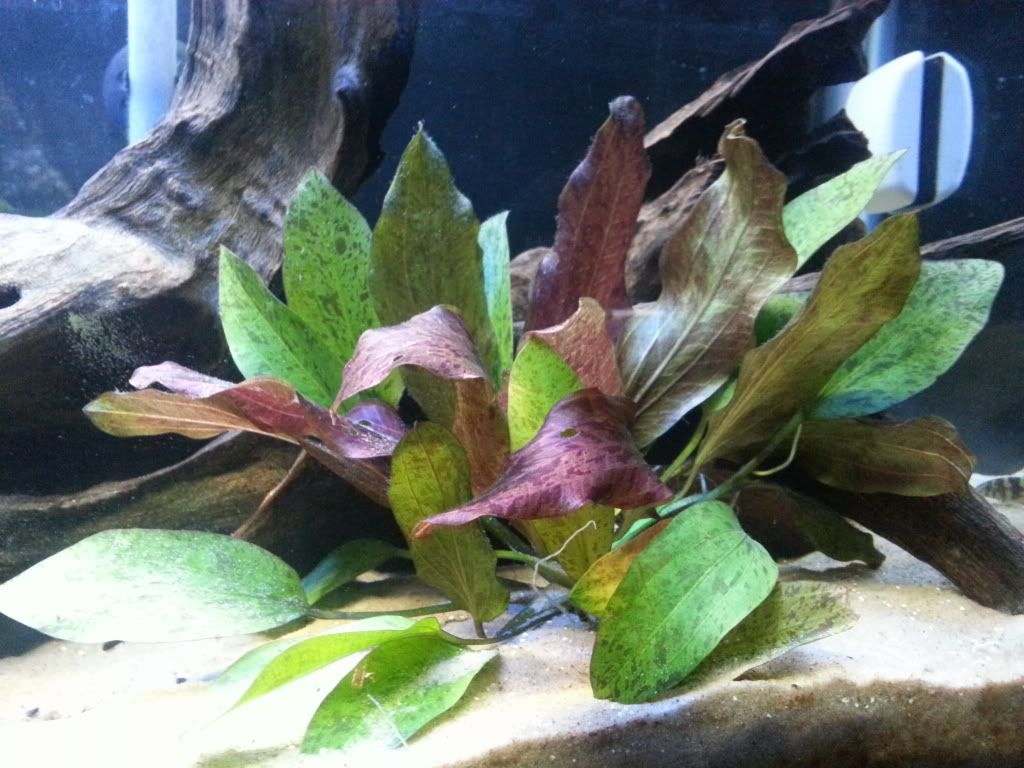 20130407_195815.jpg