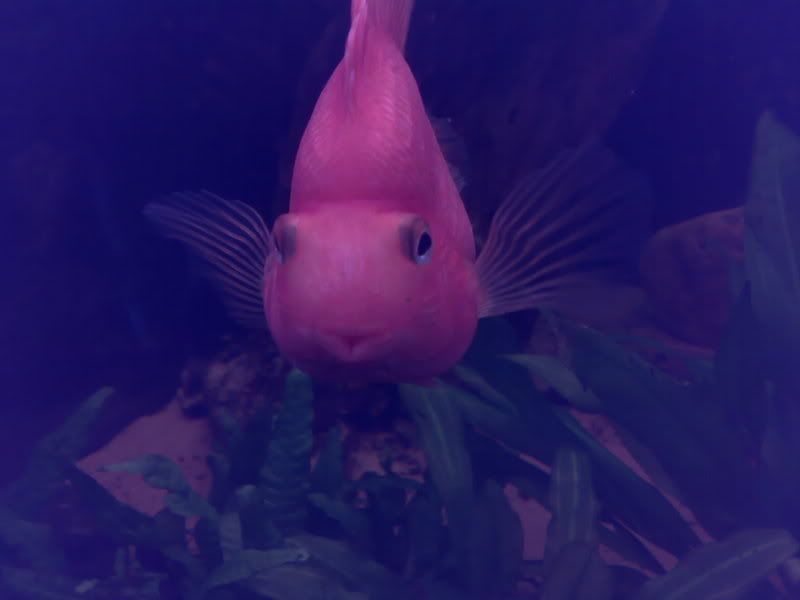 07012007117.jpg