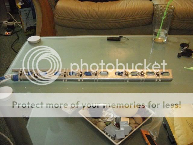 SDC10491.jpg