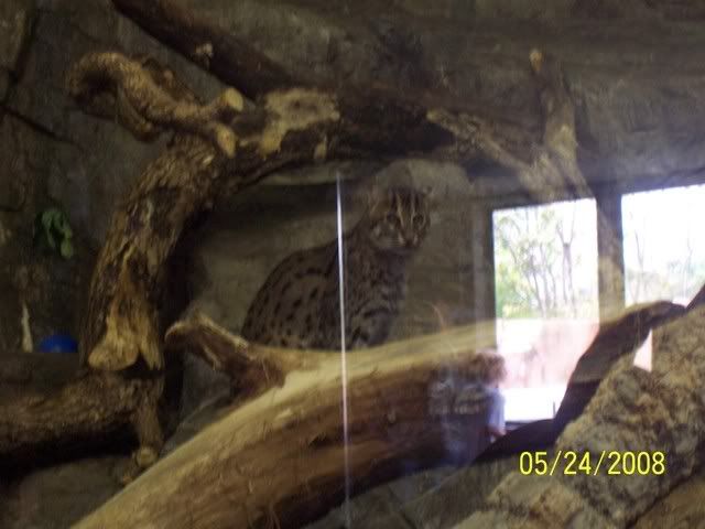 100_3275.jpg