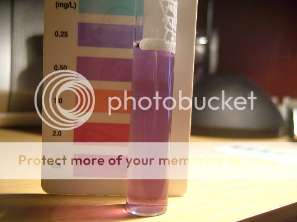 DSCF3851.jpg