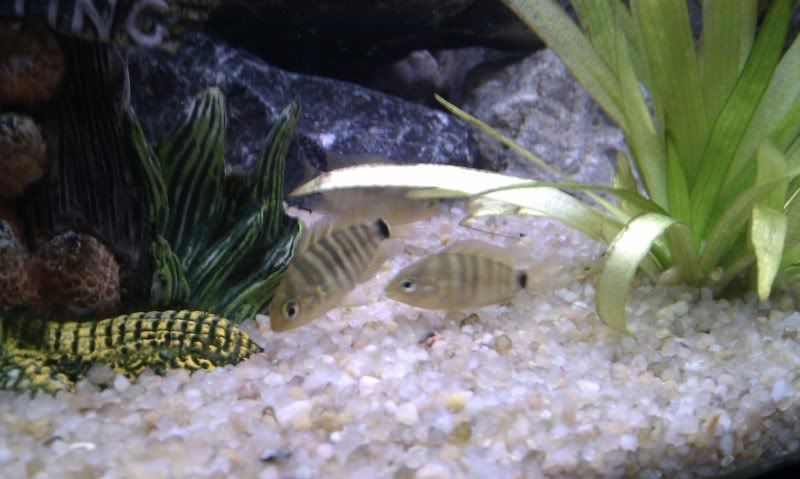 IMAG0526.jpg
