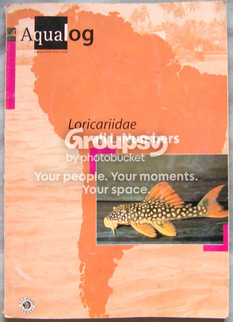 3plusandalog002.jpg