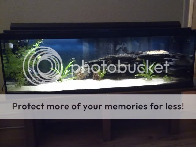 010620111126.jpg