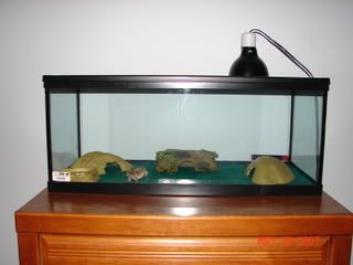 tank2001.jpg