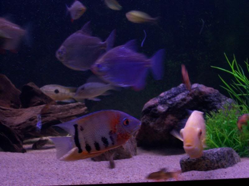 100_6078.jpg