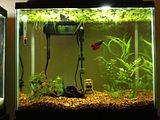 th_null_zps6812b047.jpg
