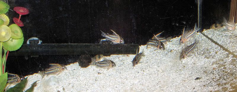8-16-2007049-2.jpg