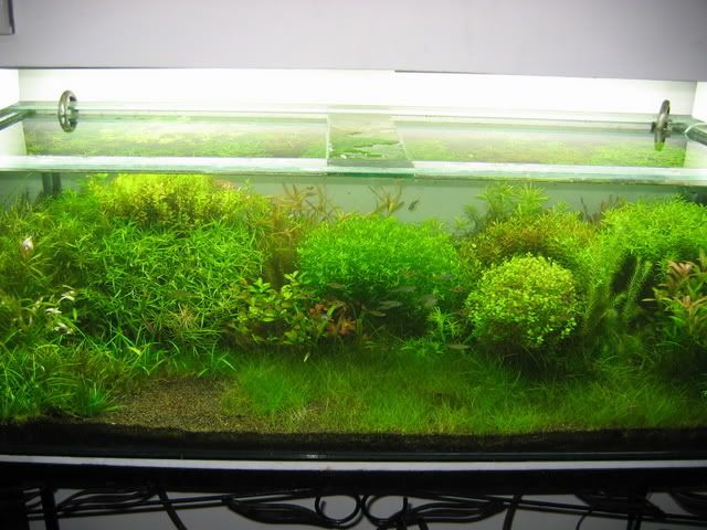 Picture051.jpg