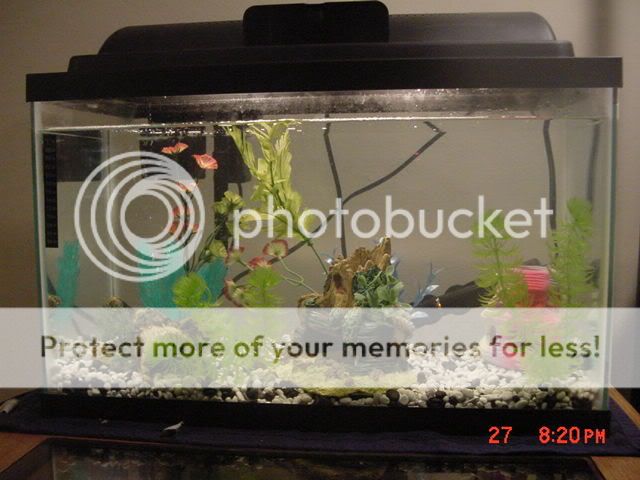 DSC00167.jpg