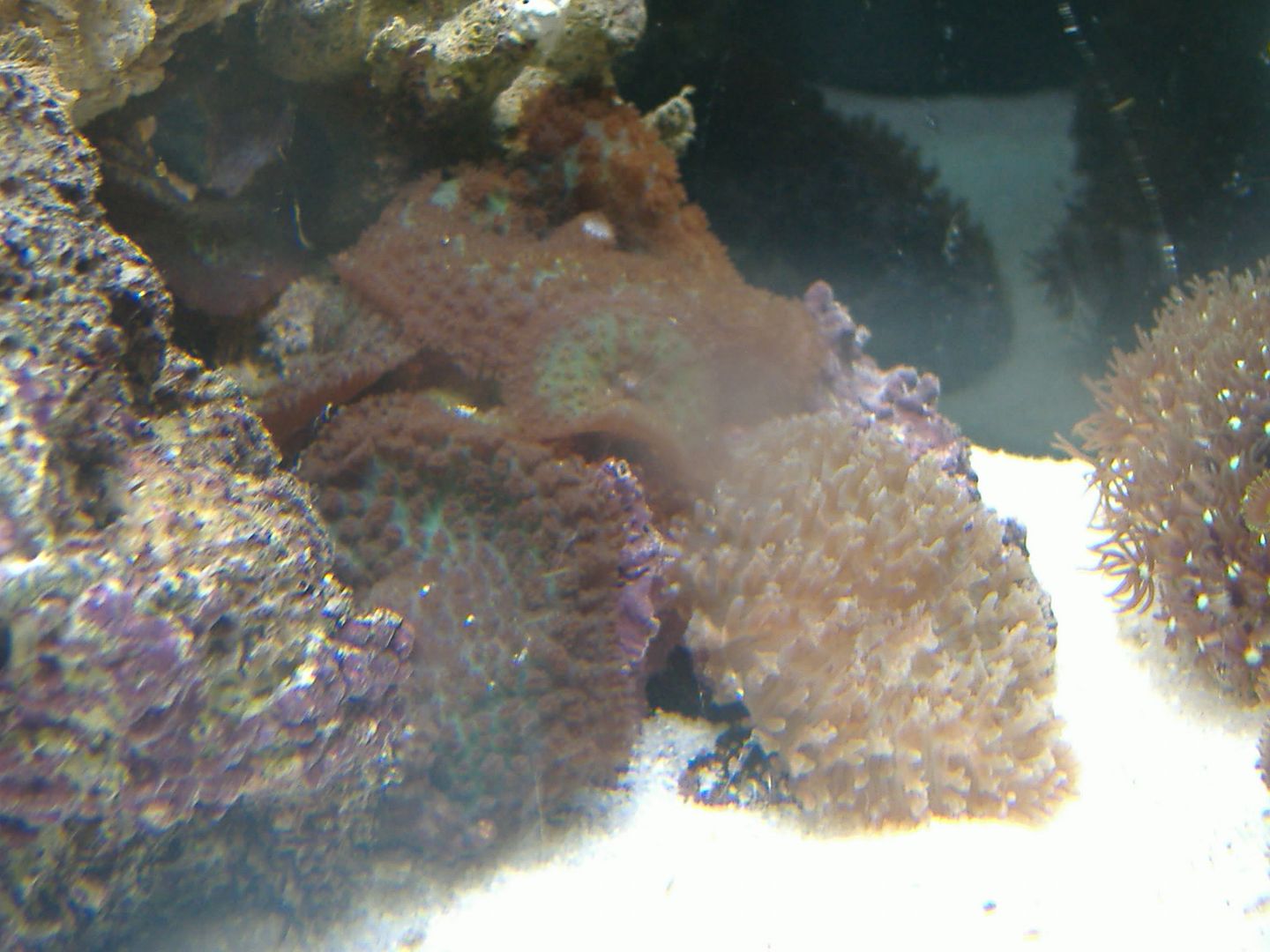 DSCF0540.jpg