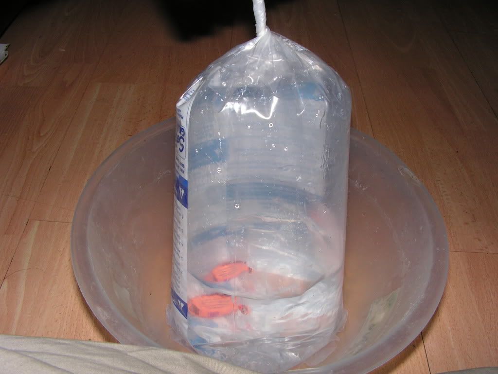 PICT0568.jpg